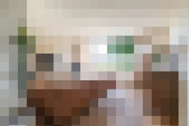 Esweg 22 Gieten thumbnail 19