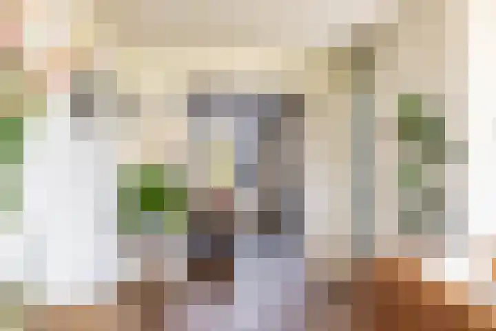 Esweg 22 Gieten thumbnail 21