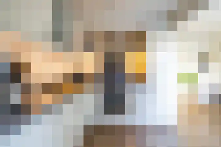 Esweg 22 Gieten thumbnail 26