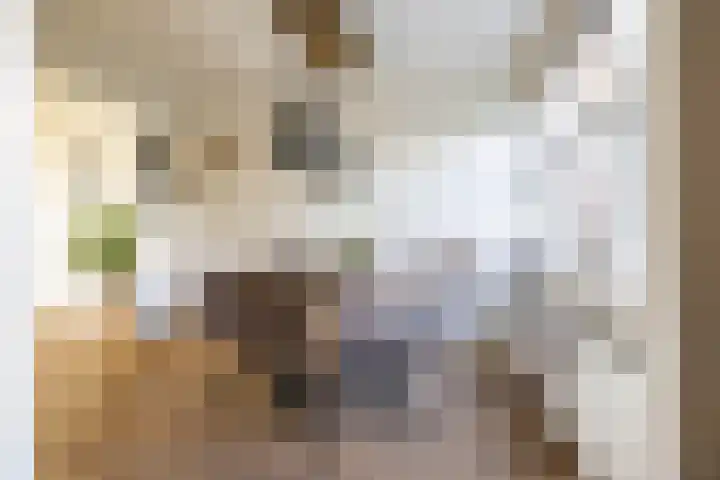 Esweg 22 Gieten thumbnail 28