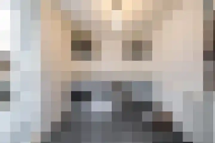 Esweg 22 Gieten thumbnail 29