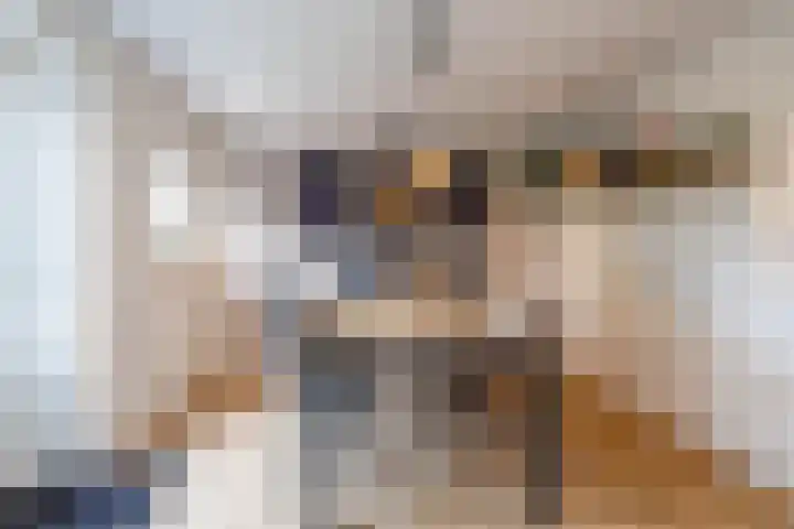 Esweg 22 Gieten thumbnail 34
