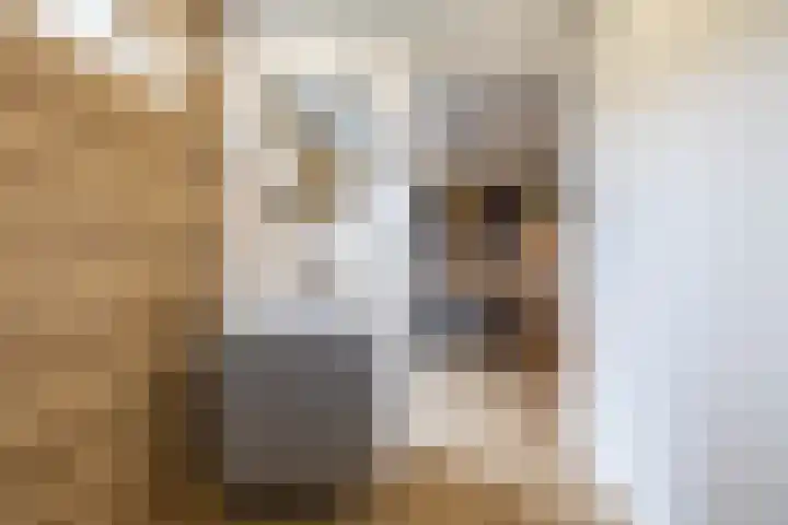 Esweg 22 Gieten thumbnail 38