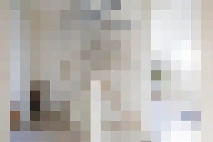 Esweg 22 Gieten thumbnail 39
