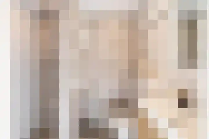 Esweg 22 Gieten thumbnail 4