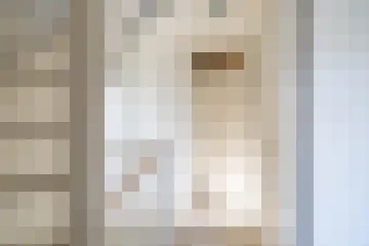 Esweg 22 Gieten thumbnail 40