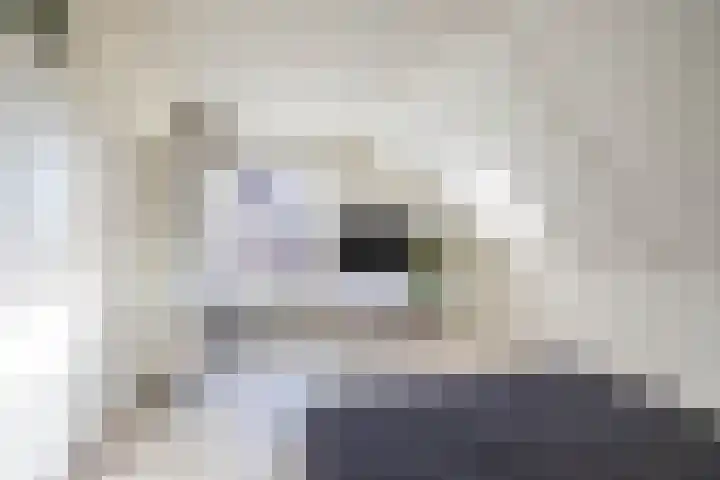 Esweg 22 Gieten thumbnail 42