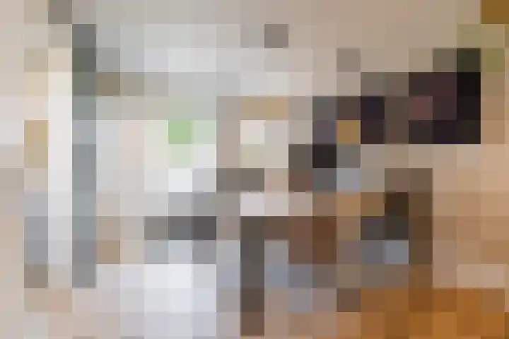 Esweg 22 Gieten thumbnail 5