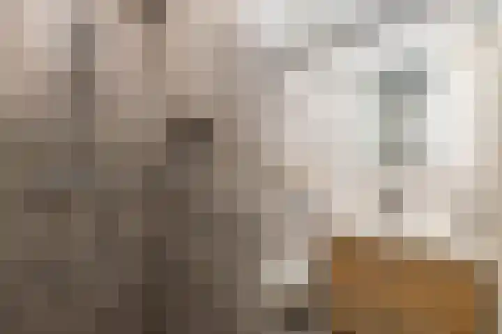 Esweg 22 Gieten thumbnail 51