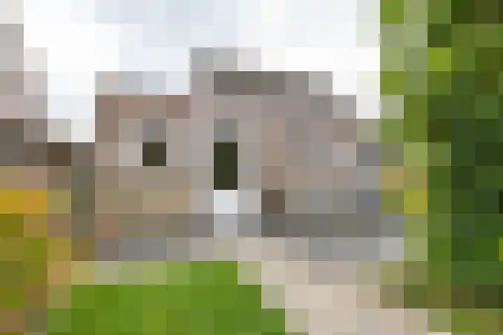 Esweg 22 Gieten thumbnail 58