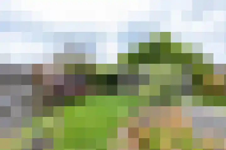 Esweg 22 Gieten thumbnail 59
