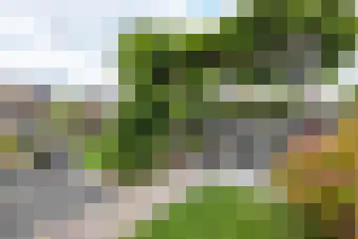 Esweg 22 Gieten thumbnail 60