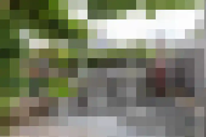 Esweg 22 Gieten thumbnail 61