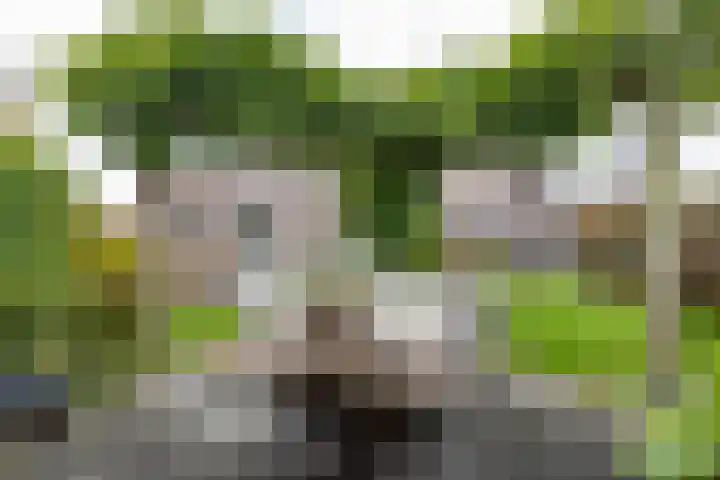 Esweg 22 Gieten thumbnail 62