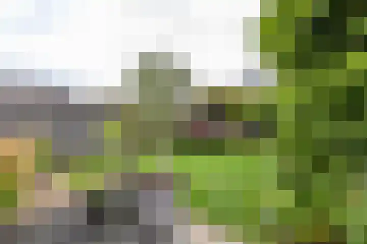 Esweg 22 Gieten thumbnail 63