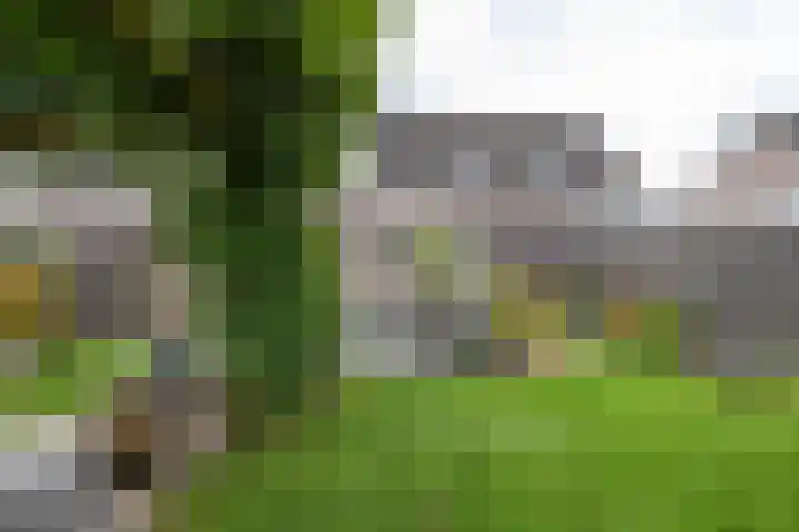 Esweg 22 Gieten thumbnail 64