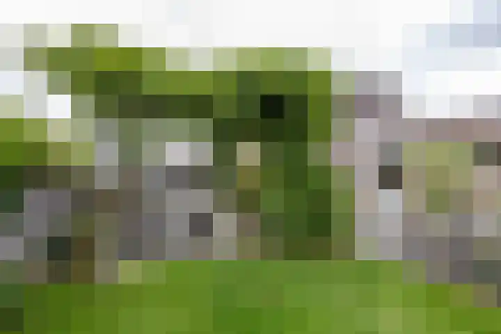 Esweg 22 Gieten thumbnail 65