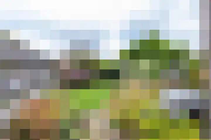 Esweg 22 Gieten thumbnail 66
