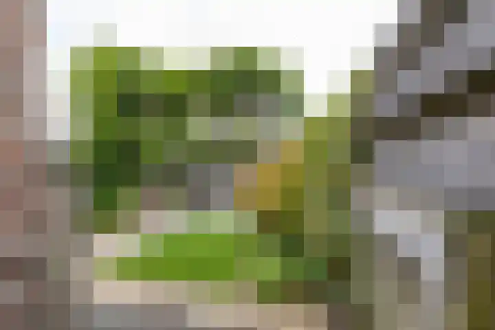 Esweg 22 Gieten thumbnail 67