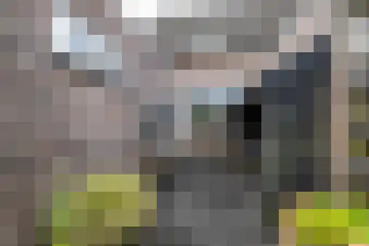 Esweg 22 Gieten thumbnail 68