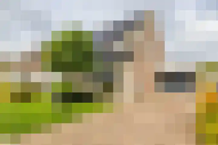 Esweg 22 Gieten thumbnail 8