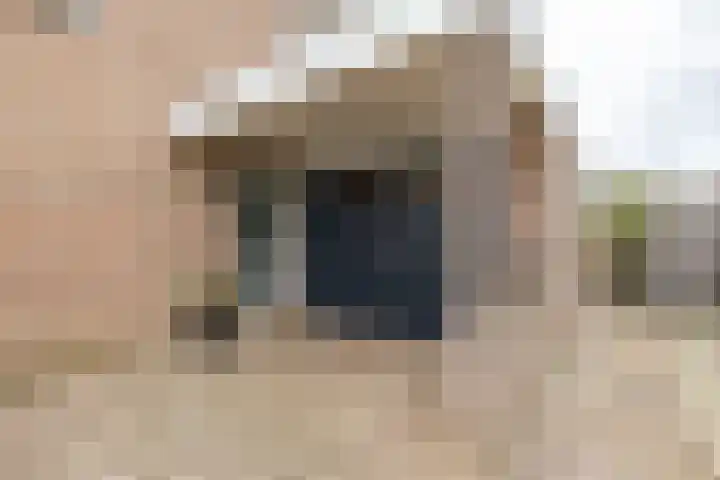 Esweg 22 Gieten thumbnail 9