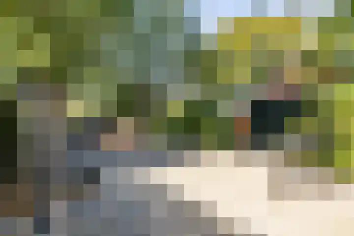 Esweg 23 Norg thumbnail 10