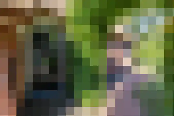 Esweg 23 Norg thumbnail 12