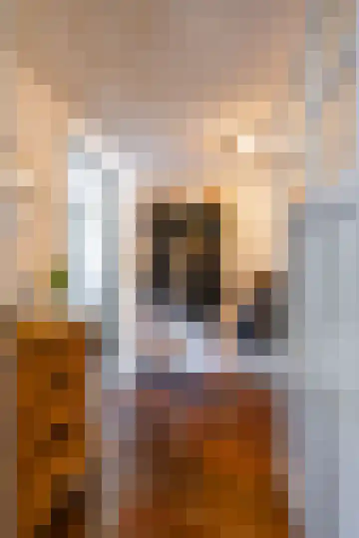 Esweg 23 Norg thumbnail 14