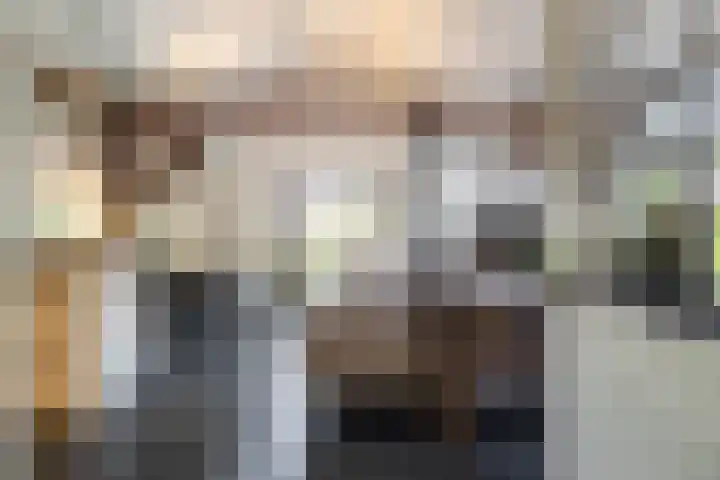 Esweg 23 Norg thumbnail 17