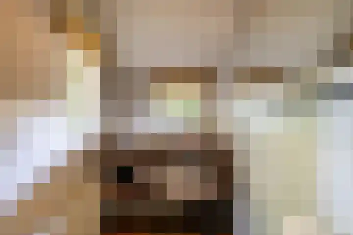 Esweg 23 Norg thumbnail 30