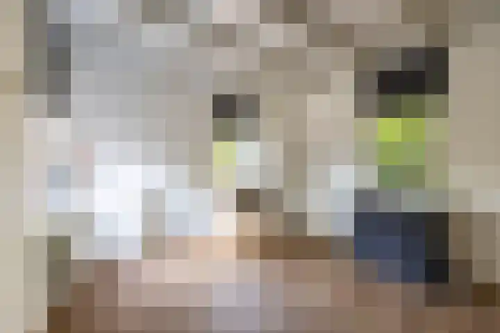 Esweg 23 Norg thumbnail 35