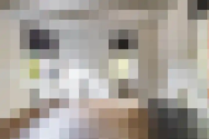 Esweg 23 Norg thumbnail 36