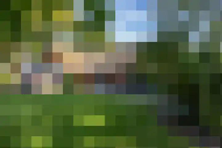 Esweg 23 Norg thumbnail 52