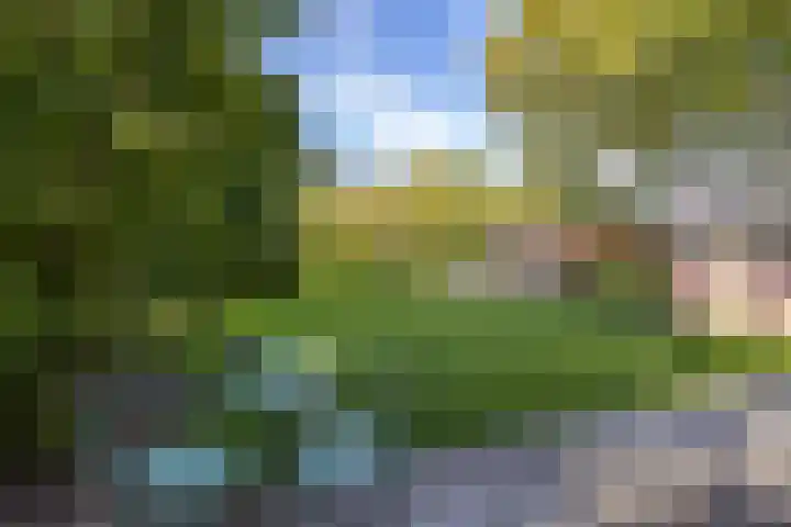 Esweg 23 Norg thumbnail 54
