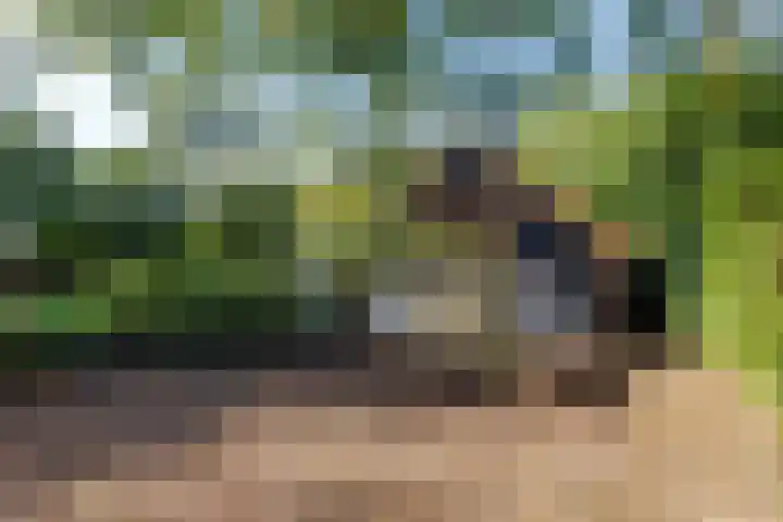 Esweg 23 Norg thumbnail 55