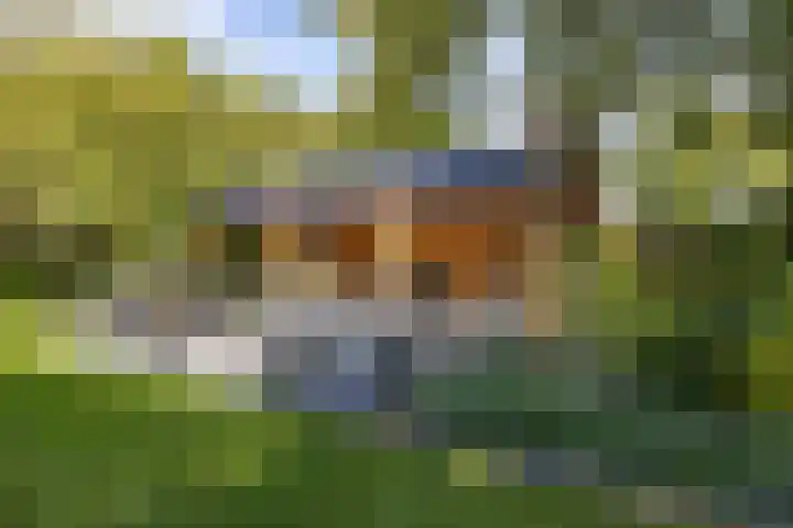 Esweg 23 Norg thumbnail 59
