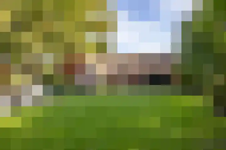 Esweg 23 Norg thumbnail 6