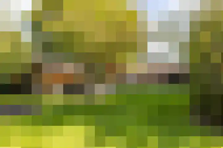 Esweg 23 Norg thumbnail 61