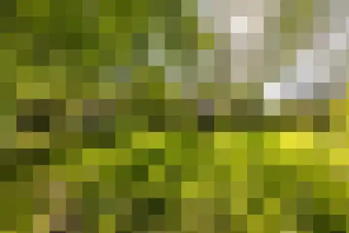 Esweg 23 Norg thumbnail 67