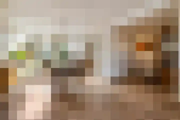 Esweg 3 Eelde thumbnail 18