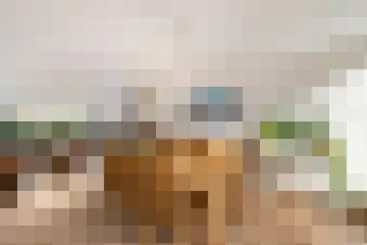 Esweg 3 Eelde thumbnail 20