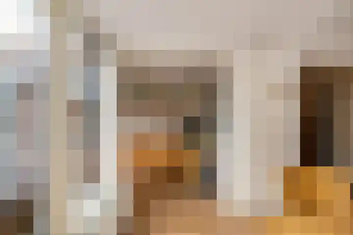 Esweg 3 Eelde thumbnail 23