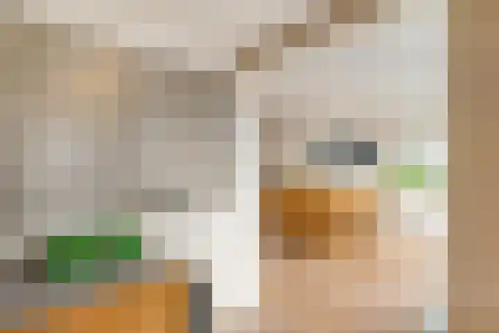 Esweg 3 Eelde thumbnail 28