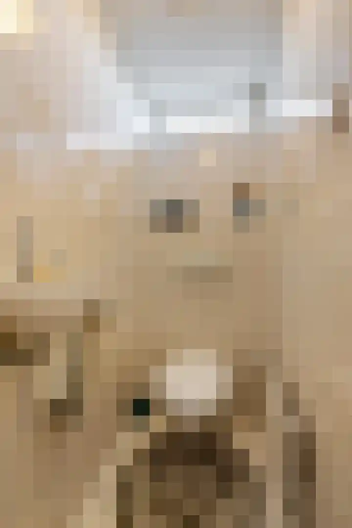 Esweg 3 Eelde thumbnail 29