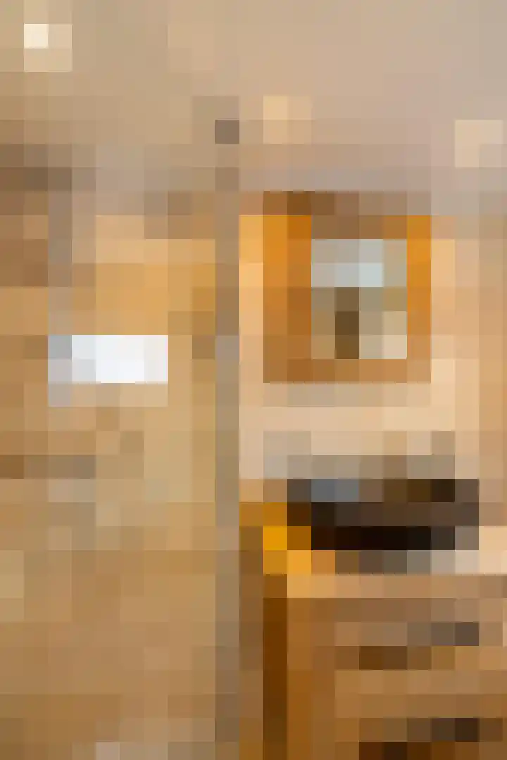 Esweg 3 Eelde thumbnail 39