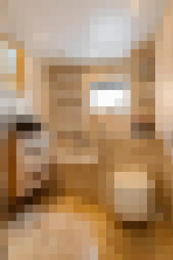Esweg 3 Eelde thumbnail 40