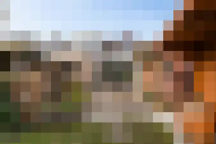 Esweg 3 Eelde thumbnail 5