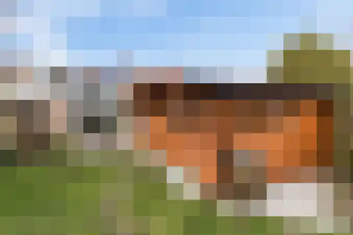 Esweg 3 Eelde thumbnail 6