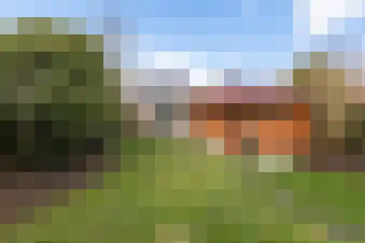 Esweg 3 Eelde thumbnail 7